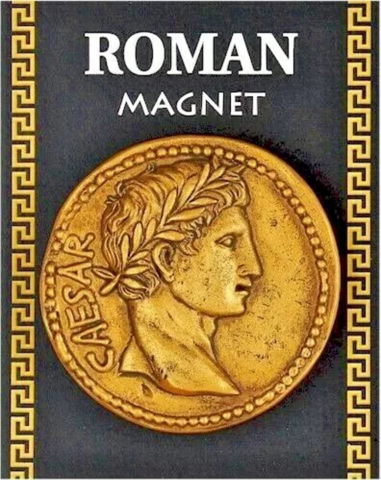 Roman Gold Julius Caesar Coin Fridge Magnet