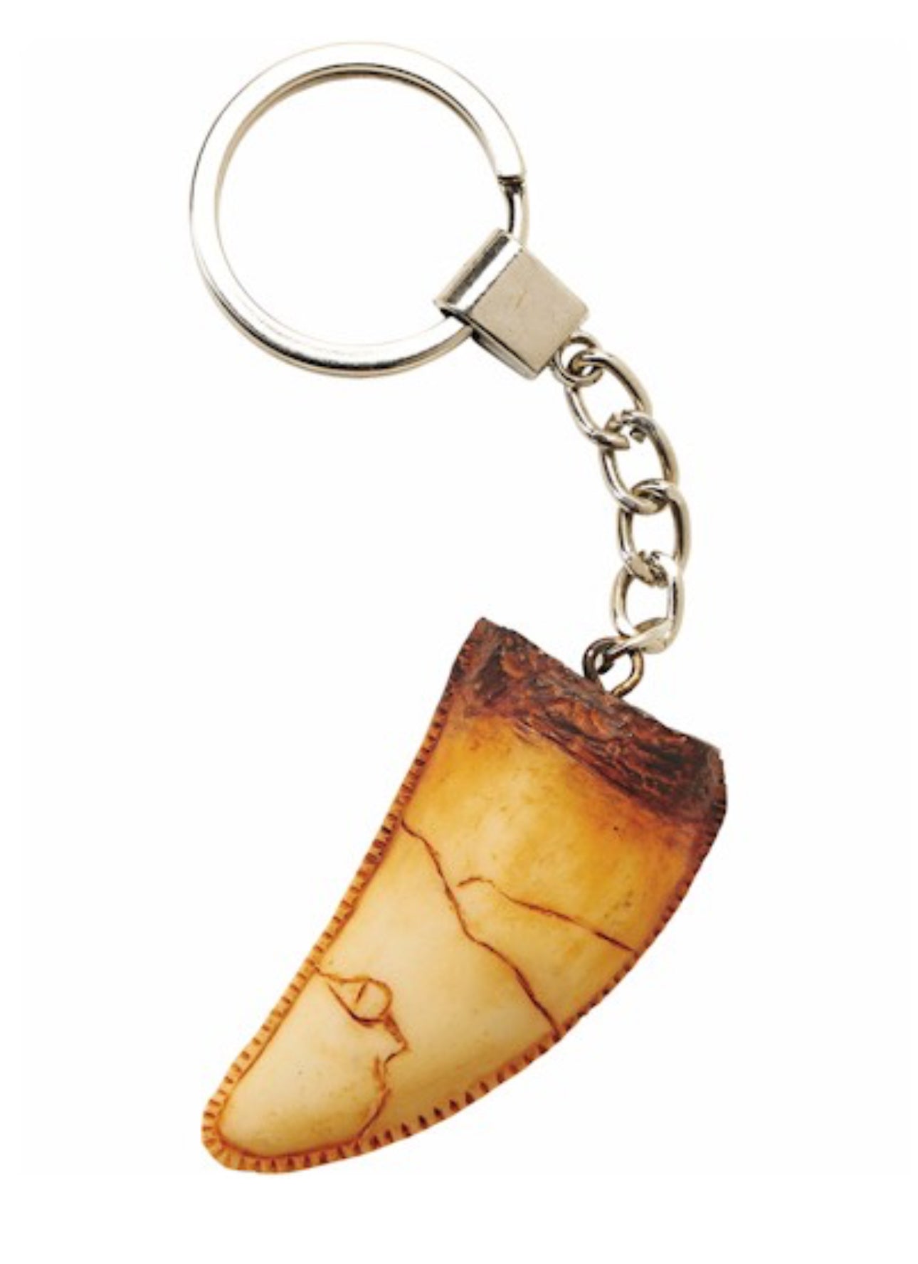 T-Rex Dinosaur Tooth Keyring