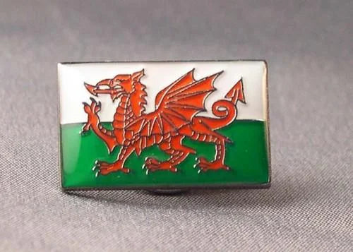 Welsh Flag Pin Badge