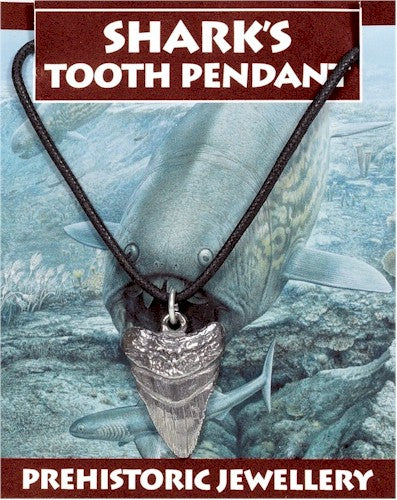 Shark’s Tooth Pendant