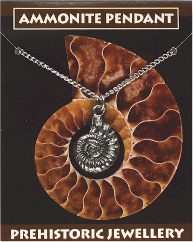 Ammonite Fossil Pewter Pendant