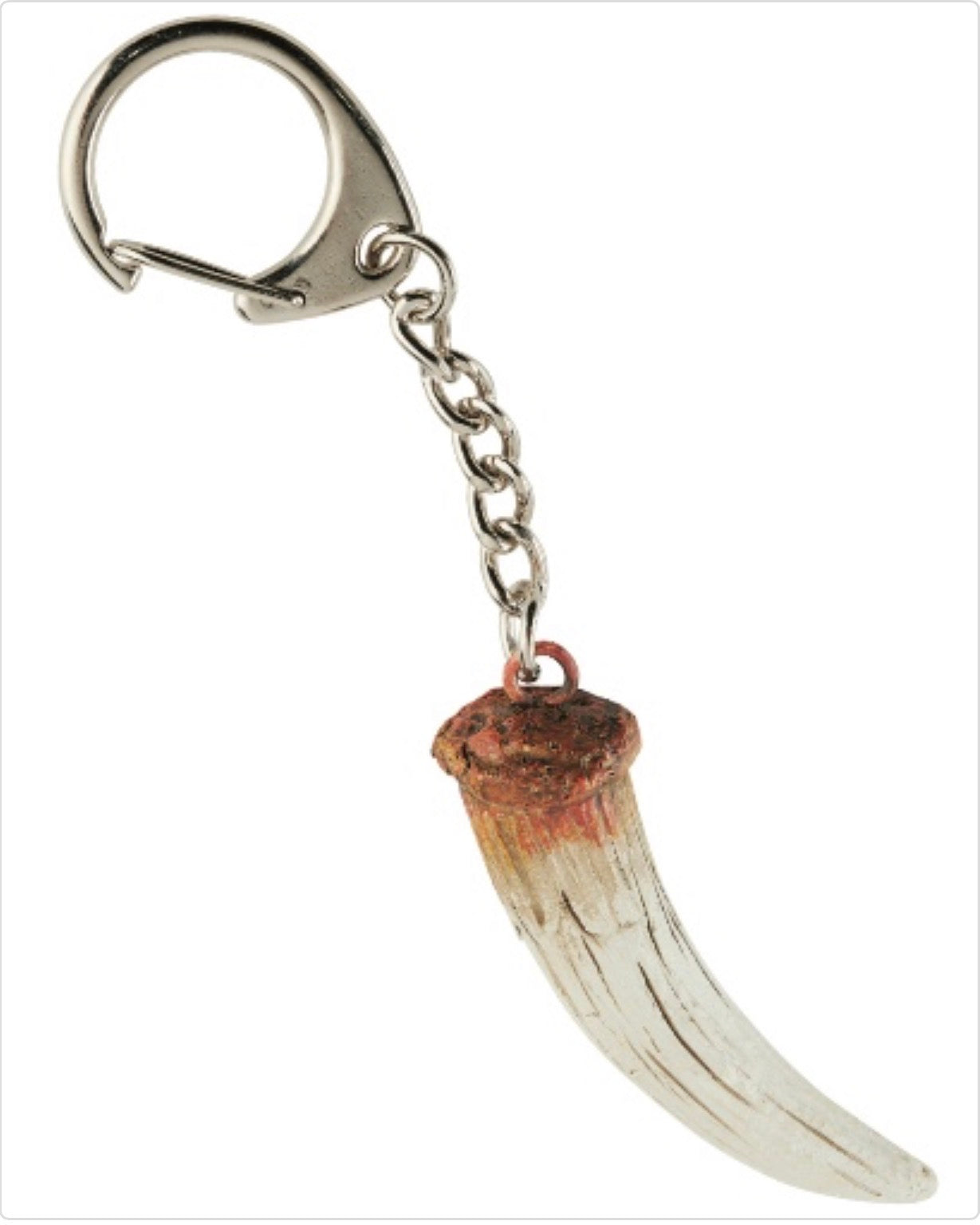 Sabre Toothed Tiger Tooth Keyring